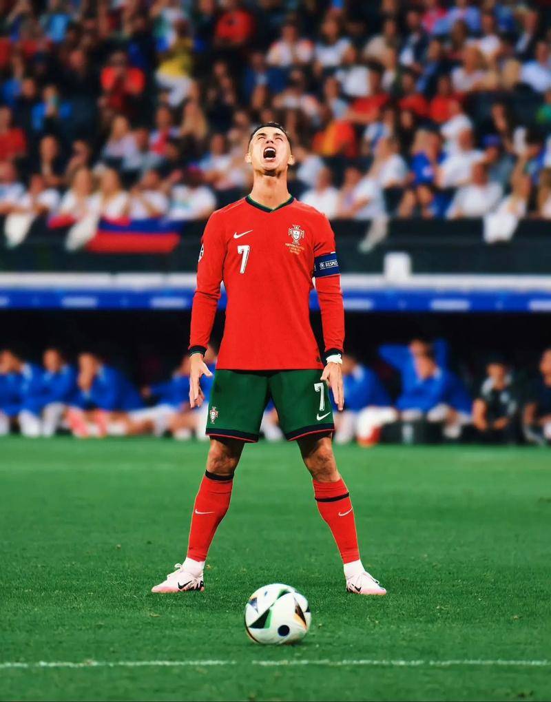 包括选择关 包括选择关